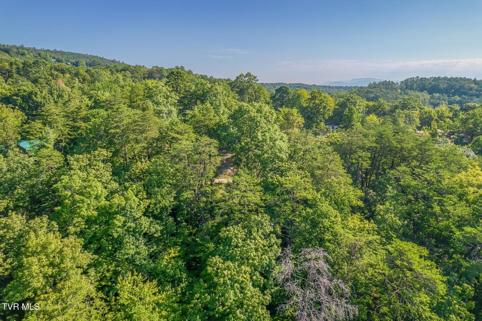 Photo #56: 2579 Black Bear Lane