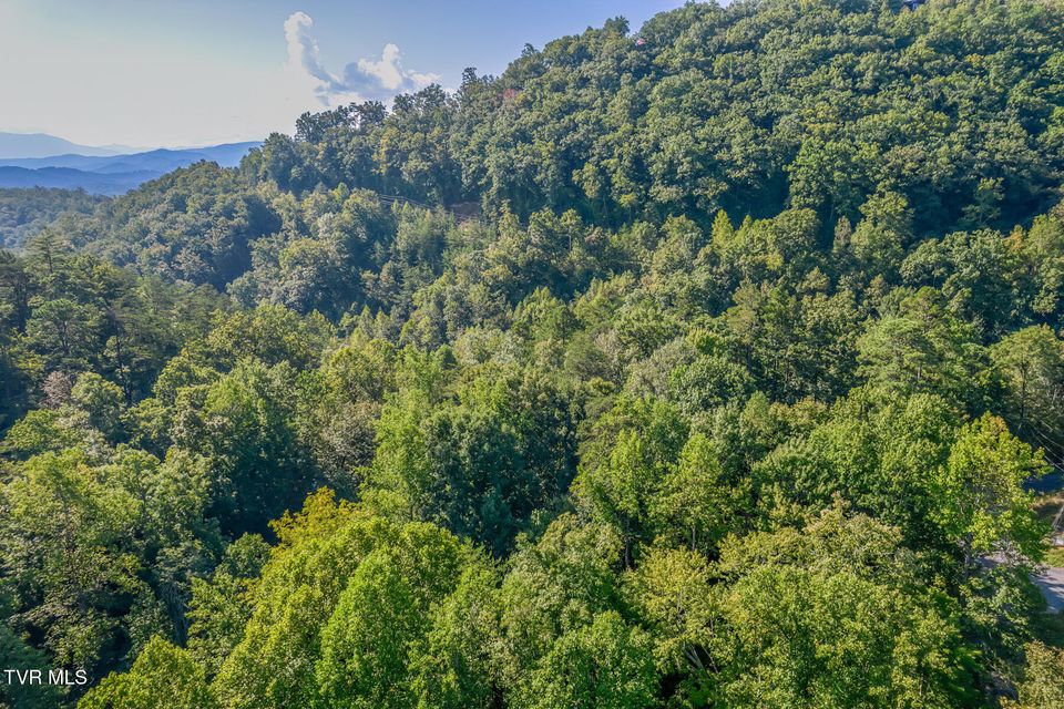 Photo #57: 2579 Black Bear Lane