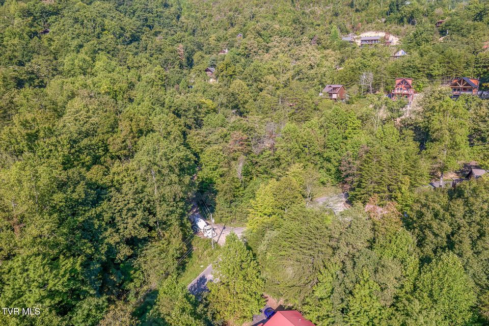 Photo #58: 2579 Black Bear Lane