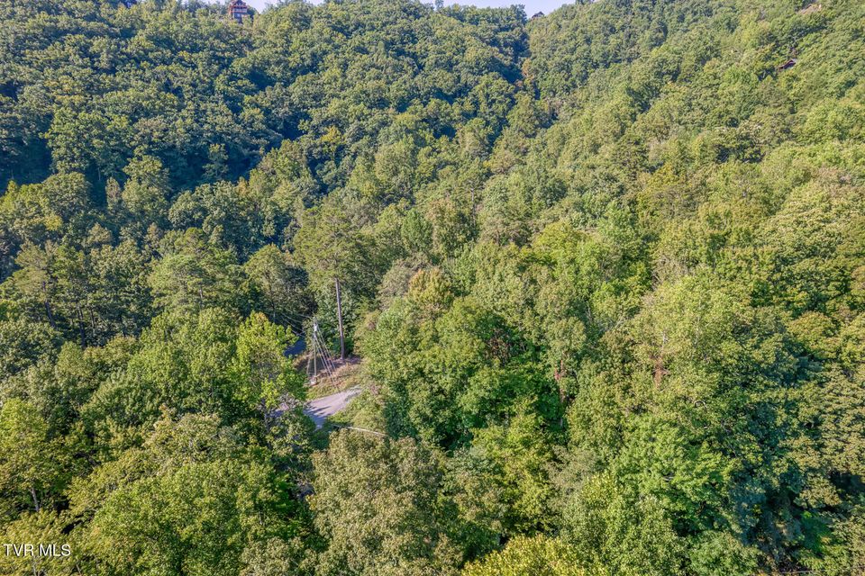 Photo #59: 2579 Black Bear Lane