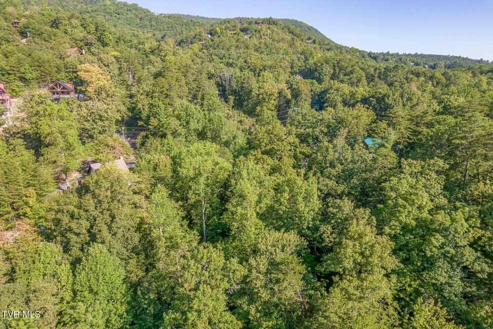 Photo #60: 2579 Black Bear Lane