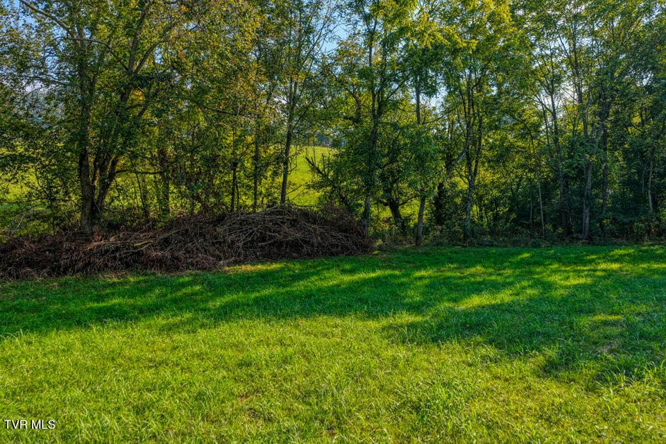 Photo #4: Tbd New Salem Road Road