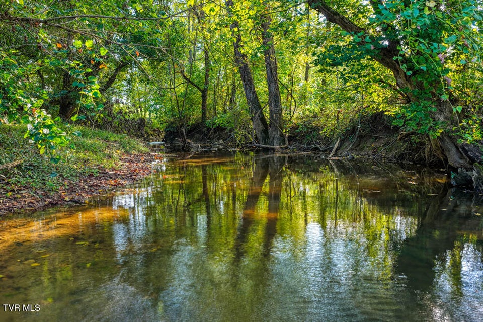 Photo #9: Tbd New Salem Road Road