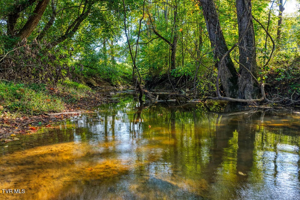 Photo #10: Tbd New Salem Road Road
