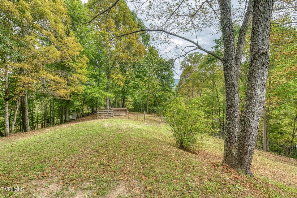 Photo #4: 160 Conley Stevens Road