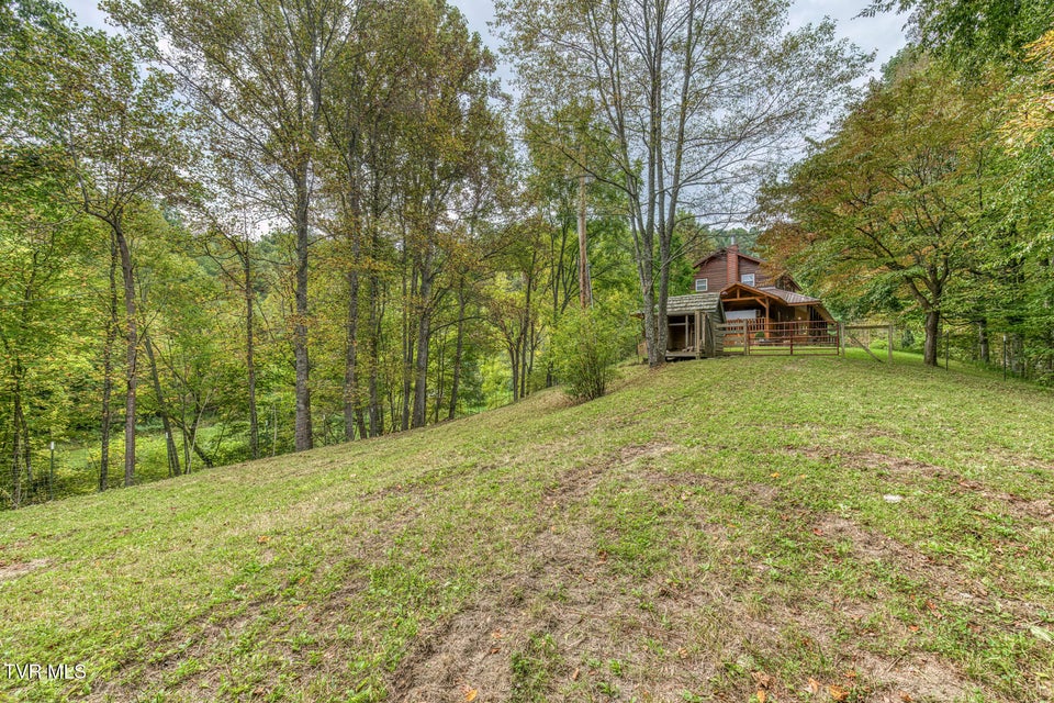 Photo #43: 160 Conley Stevens Road