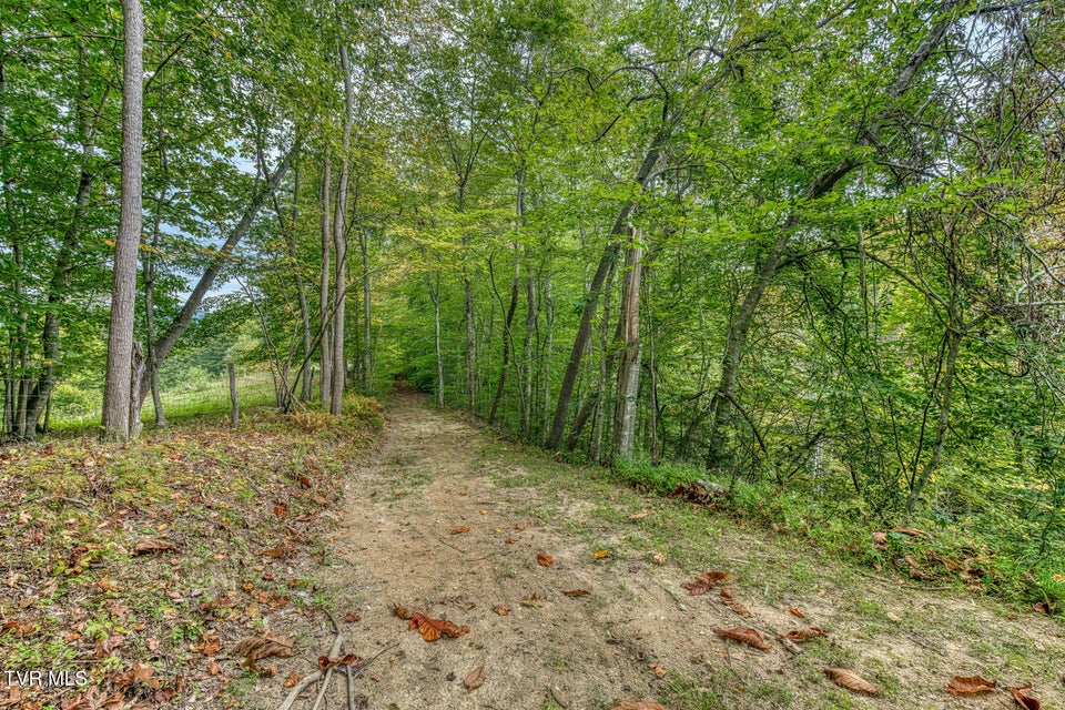 Photo #47: 160 Conley Stevens Road