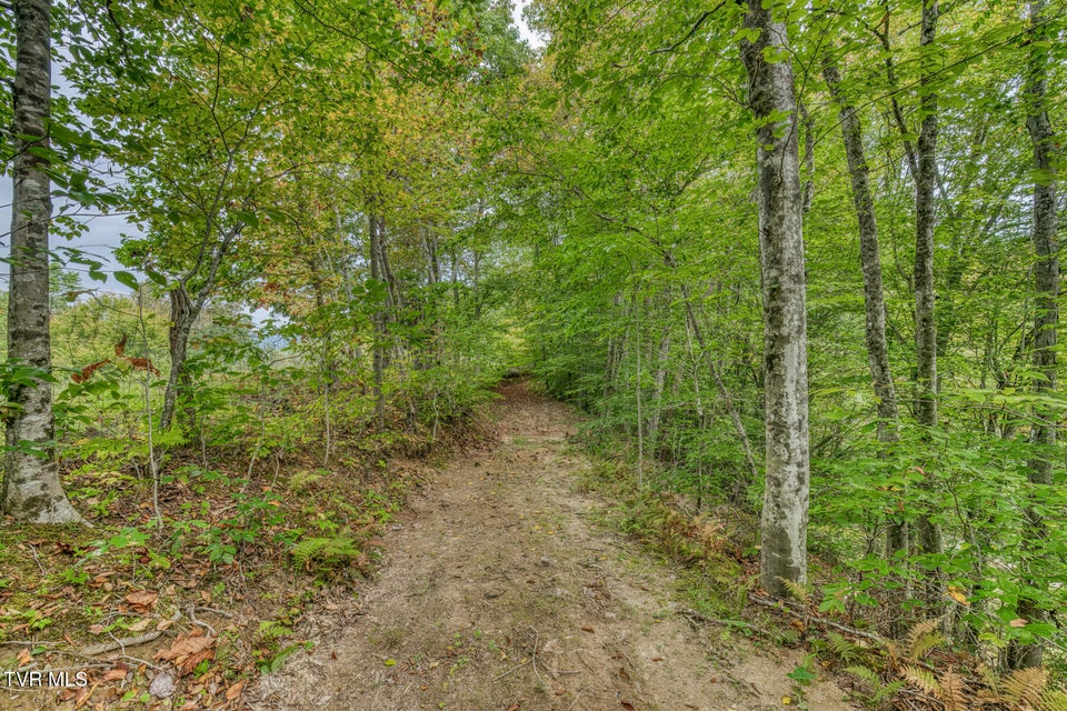 Photo #48: 160 Conley Stevens Road