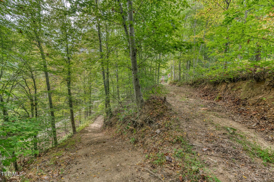 Photo #49: 160 Conley Stevens Road