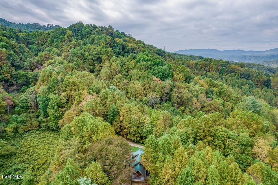 Photo #57: 160 Conley Stevens Road