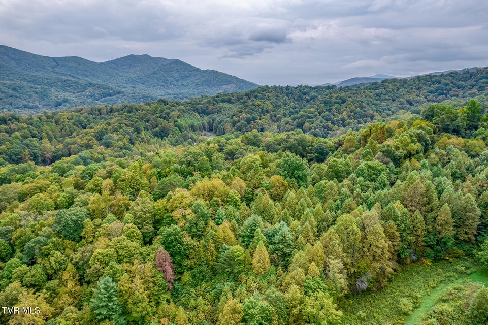 Photo #63: 160 Conley Stevens Road