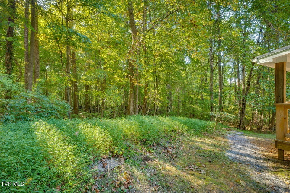 Photo #39: 124 Vip Road