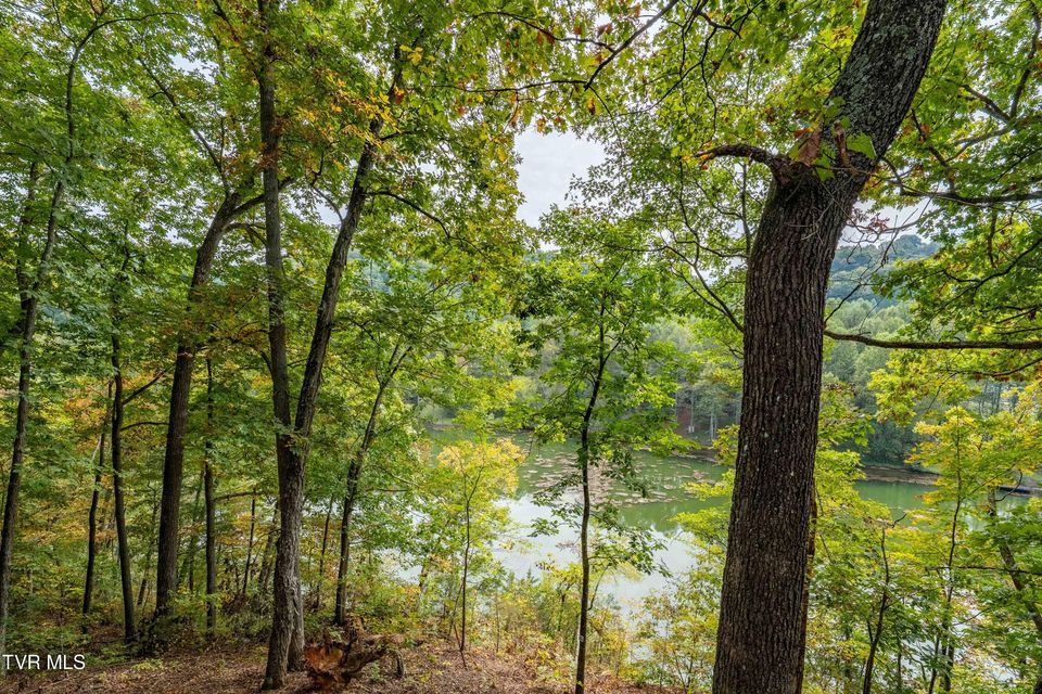 Photo #49: 5084 Lake Forest Drive
