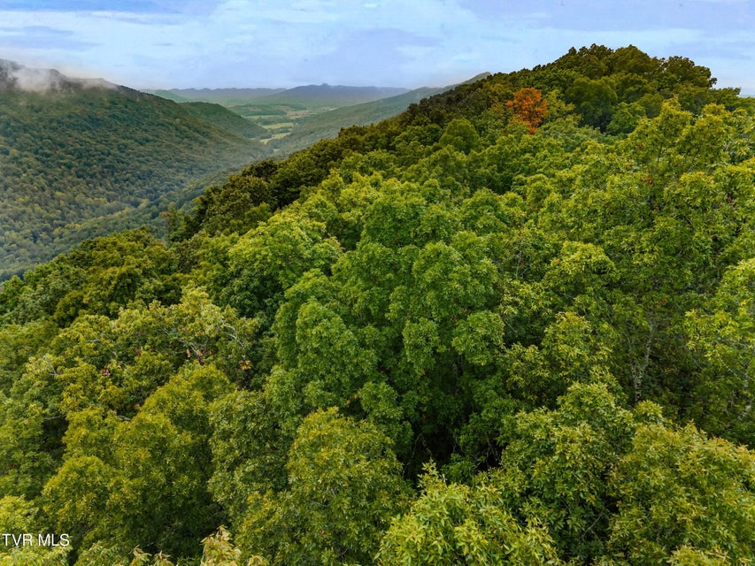 Photo #5: 1775 Snake Hollow Road Road