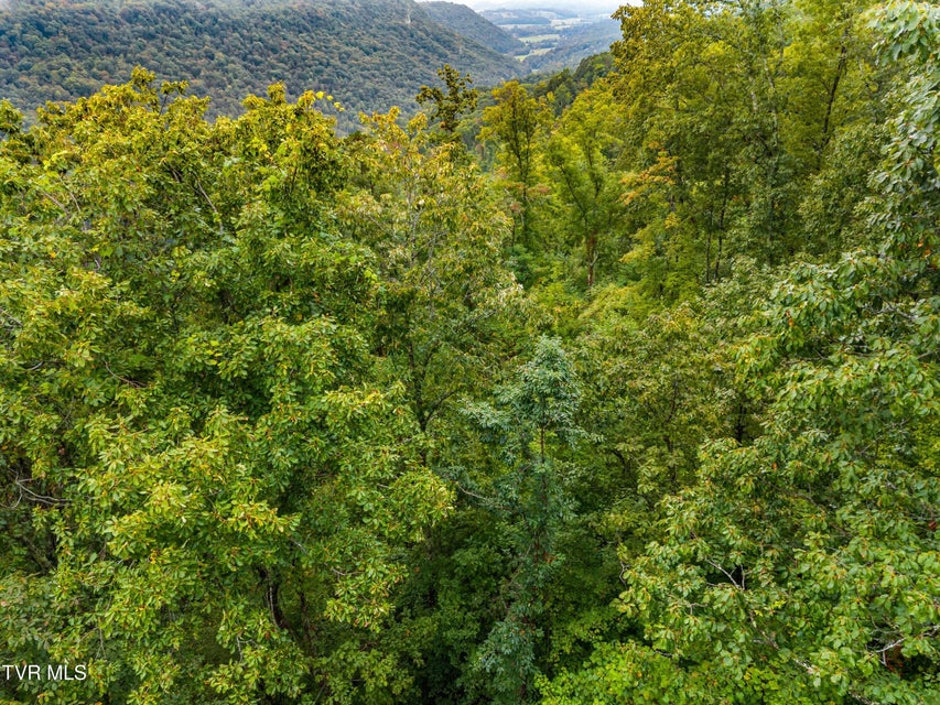 Photo #6: 1775 Snake Hollow Road Road