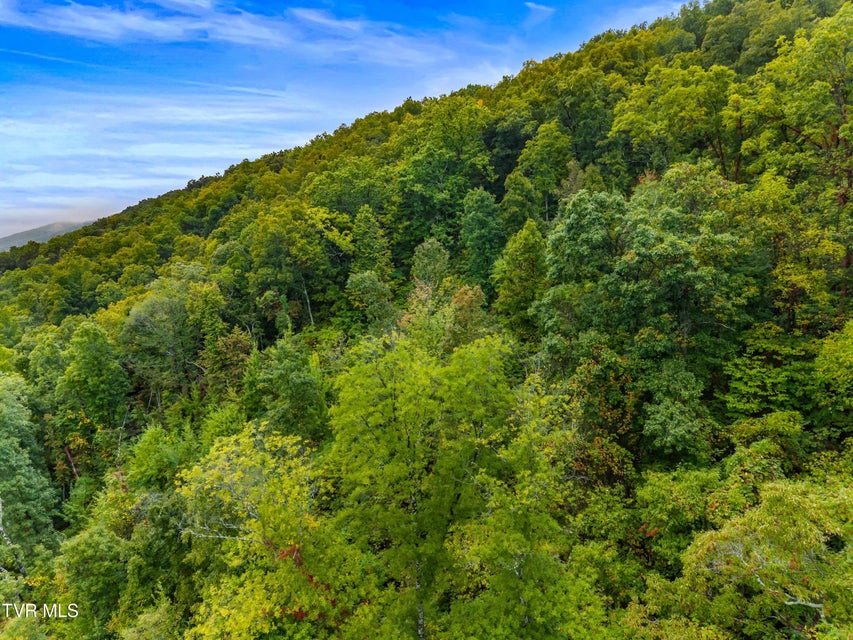 Photo #7: 1775 Snake Hollow Road Road