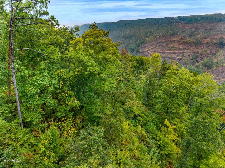 Photo #8: 1775 Snake Hollow Road Road