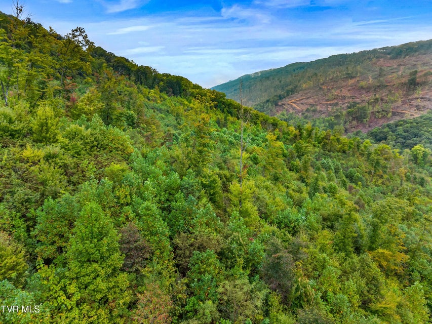 Photo #9: 1775 Snake Hollow Road Road