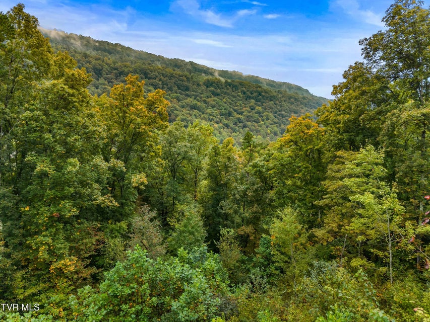 Photo #10: 1775 Snake Hollow Road Road