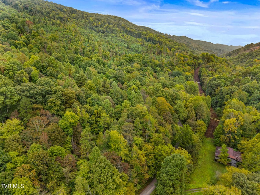 Photo #11: 1775 Snake Hollow Road Road