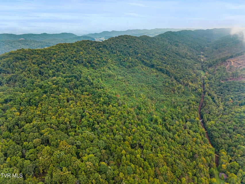 Photo #13: 1775 Snake Hollow Road Road