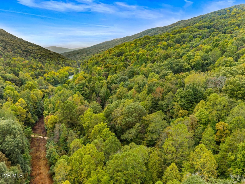 Photo #15: 1775 Snake Hollow Road Road