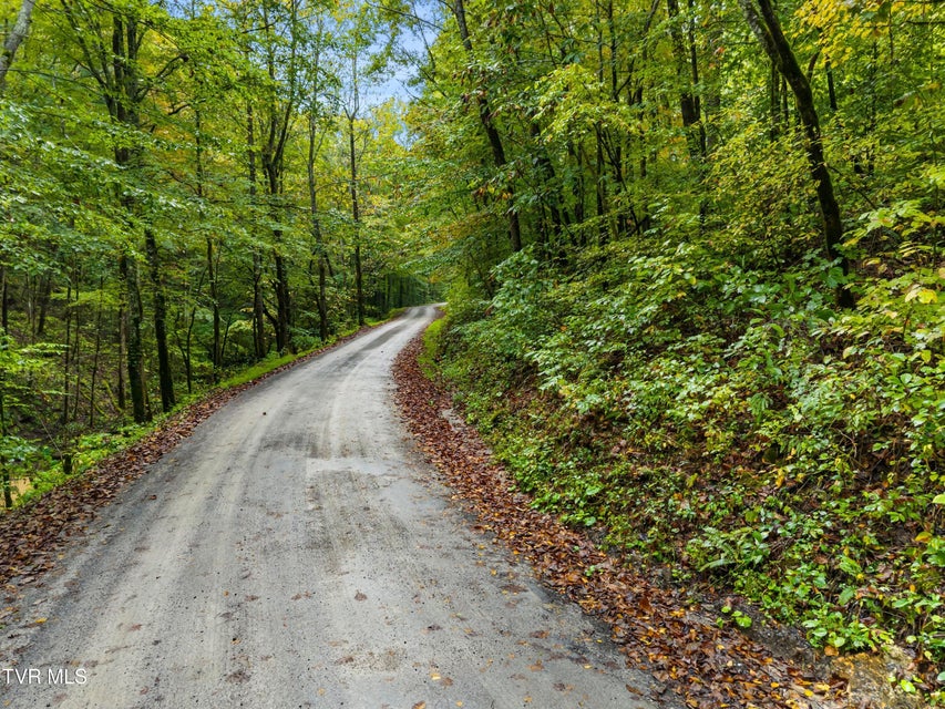 Photo #16: 1775 Snake Hollow Road Road
