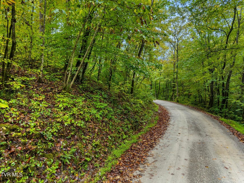 Photo #17: 1775 Snake Hollow Road Road