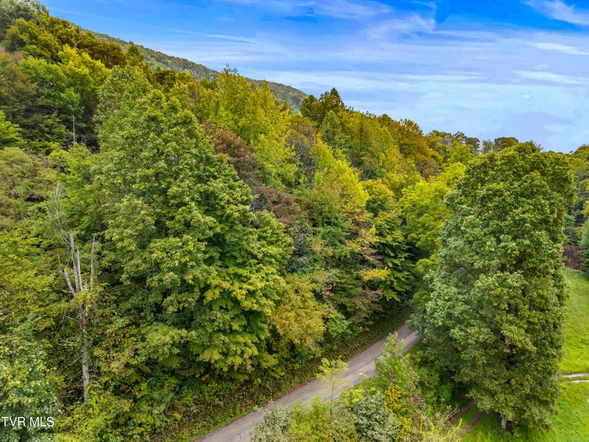 Photo #18: 1775 Snake Hollow Road Road