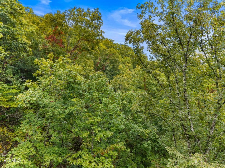 Photo #19: 1775 Snake Hollow Road Road