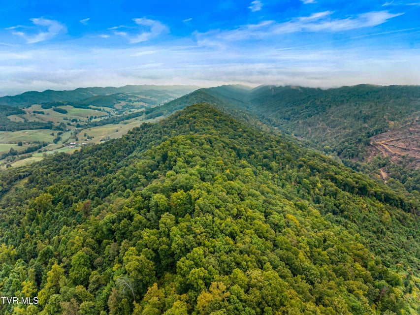 Photo #20: 1775 Snake Hollow Road Road