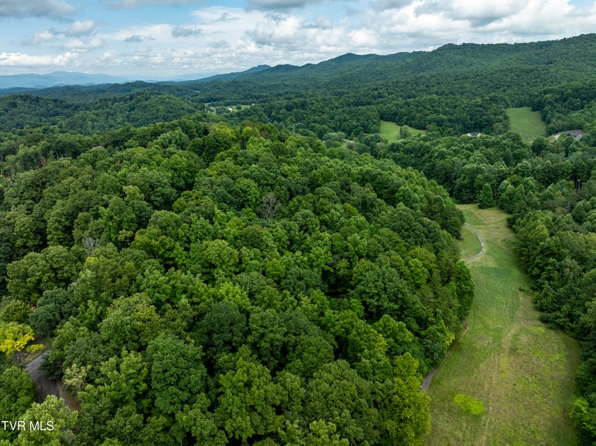 Photo #11: Tbd Golf Course Road