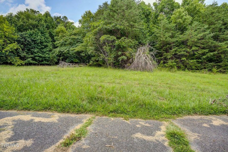 Photo #15: Tbd Golf Course Road