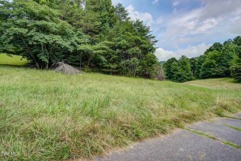 Photo #16: Tbd Golf Course Road