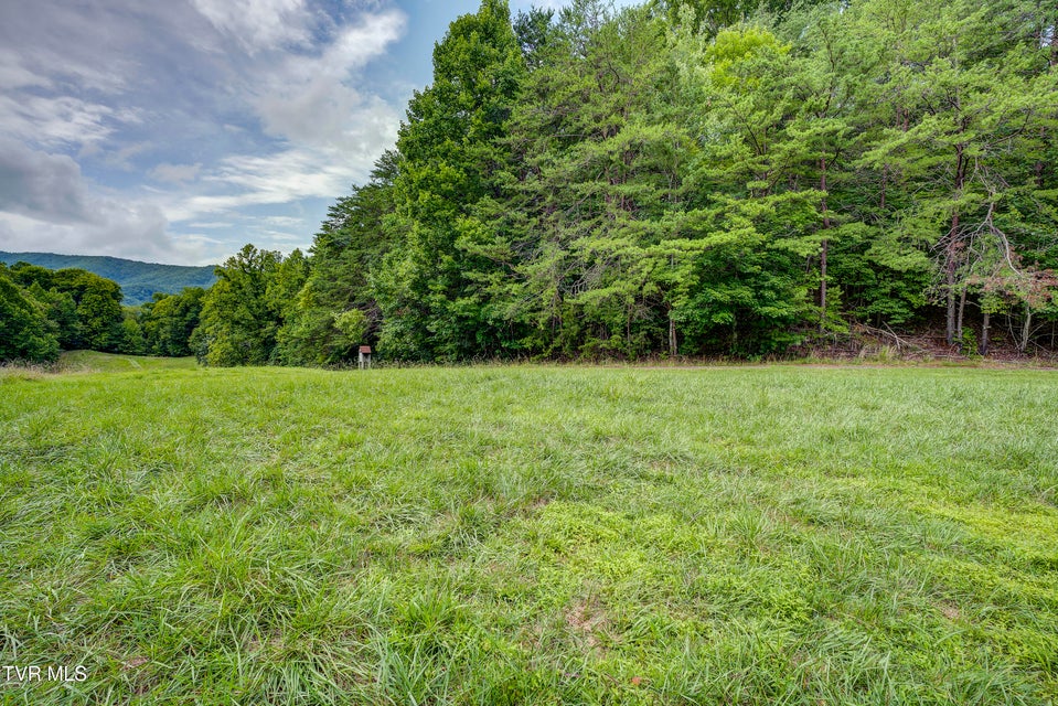 Photo #18: Tbd Golf Course Road