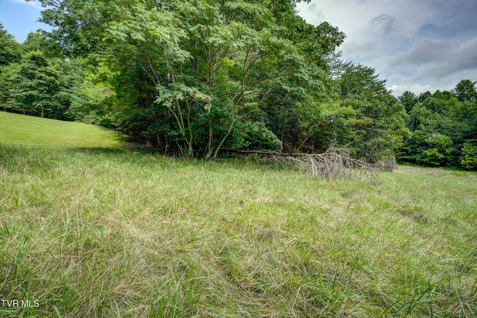 Photo #20: Tbd Golf Course Road
