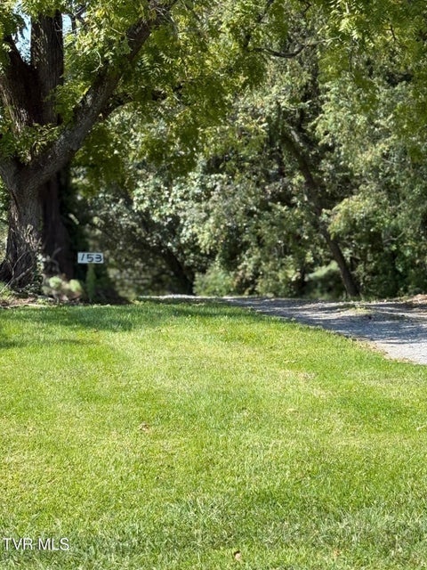 Photo #5: 153 Bart Green Drive