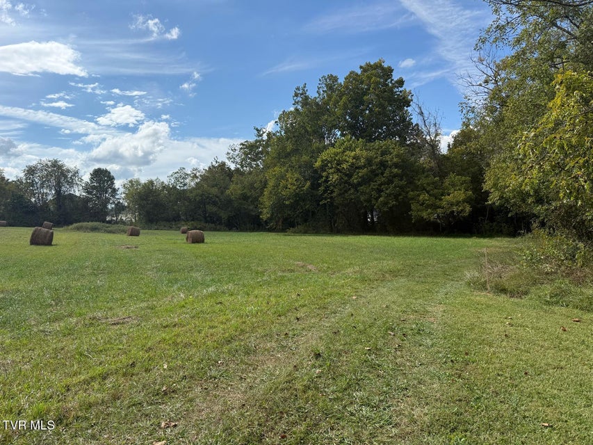 Photo #10: 153 Bart Green Drive