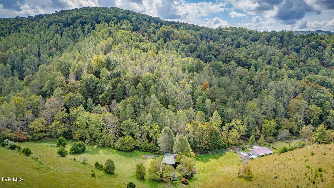 Photo #39: 205 Helton Hollow Road