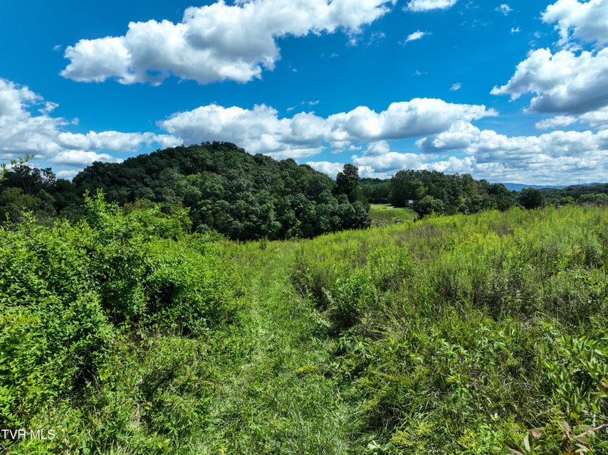 Photo #26: Tbd Old Muddy Creek Road