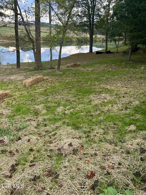 Photo #19: 1633 Poplar Springs Road