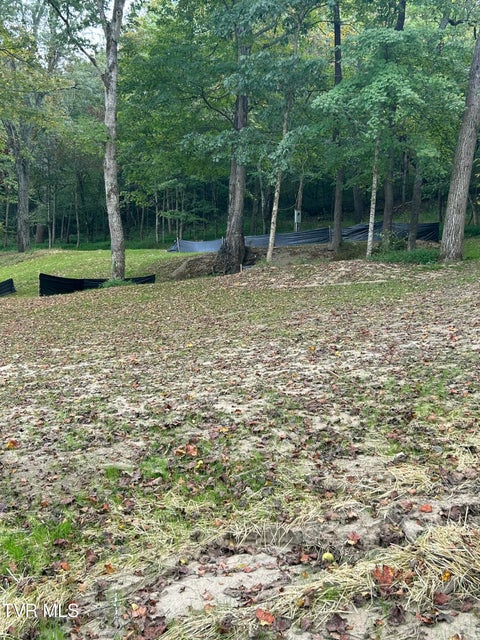 Photo #37: 1633 Poplar Springs Road