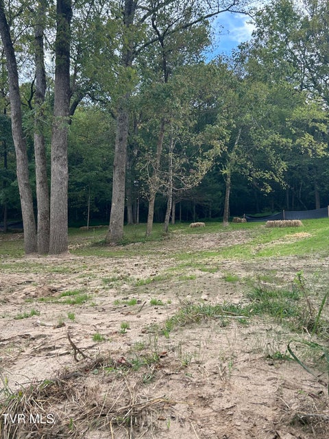 Photo #38: 1633 Poplar Springs Road