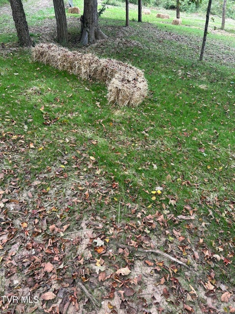 Photo #43: 1633 Poplar Springs Road