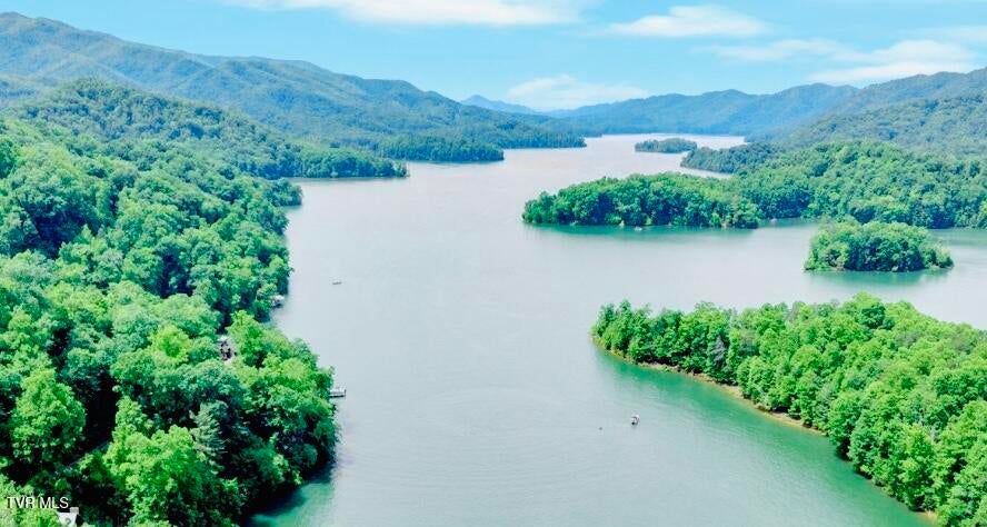 Photo #51: Lot 3 Coves Edge Drive