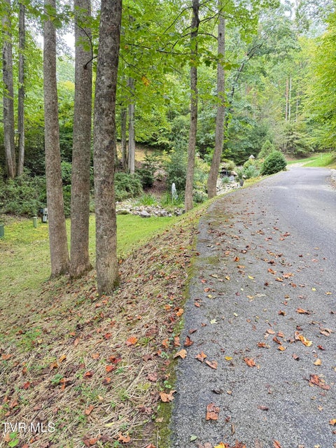 Photo #54: 236 Lakeside Drive