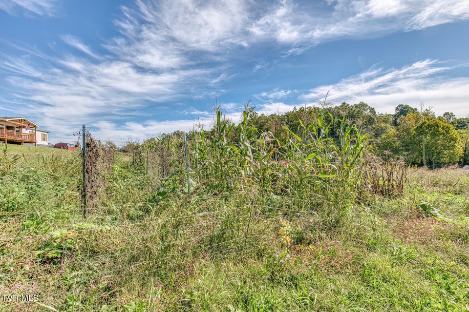 Photo #50: 108 Oak Hill Circle