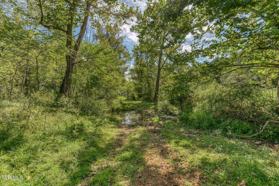 Photo #63: 108 Oak Hill Circle