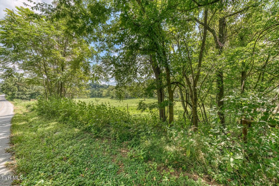 Photo #77: 108 Oak Hill Circle