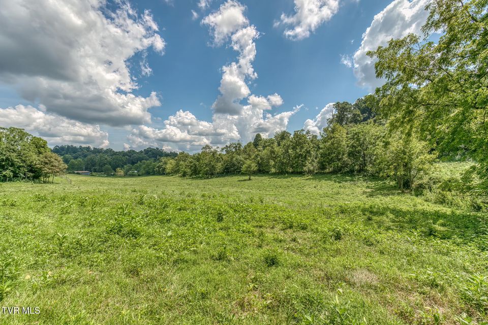 Photo #78: 108 Oak Hill Circle